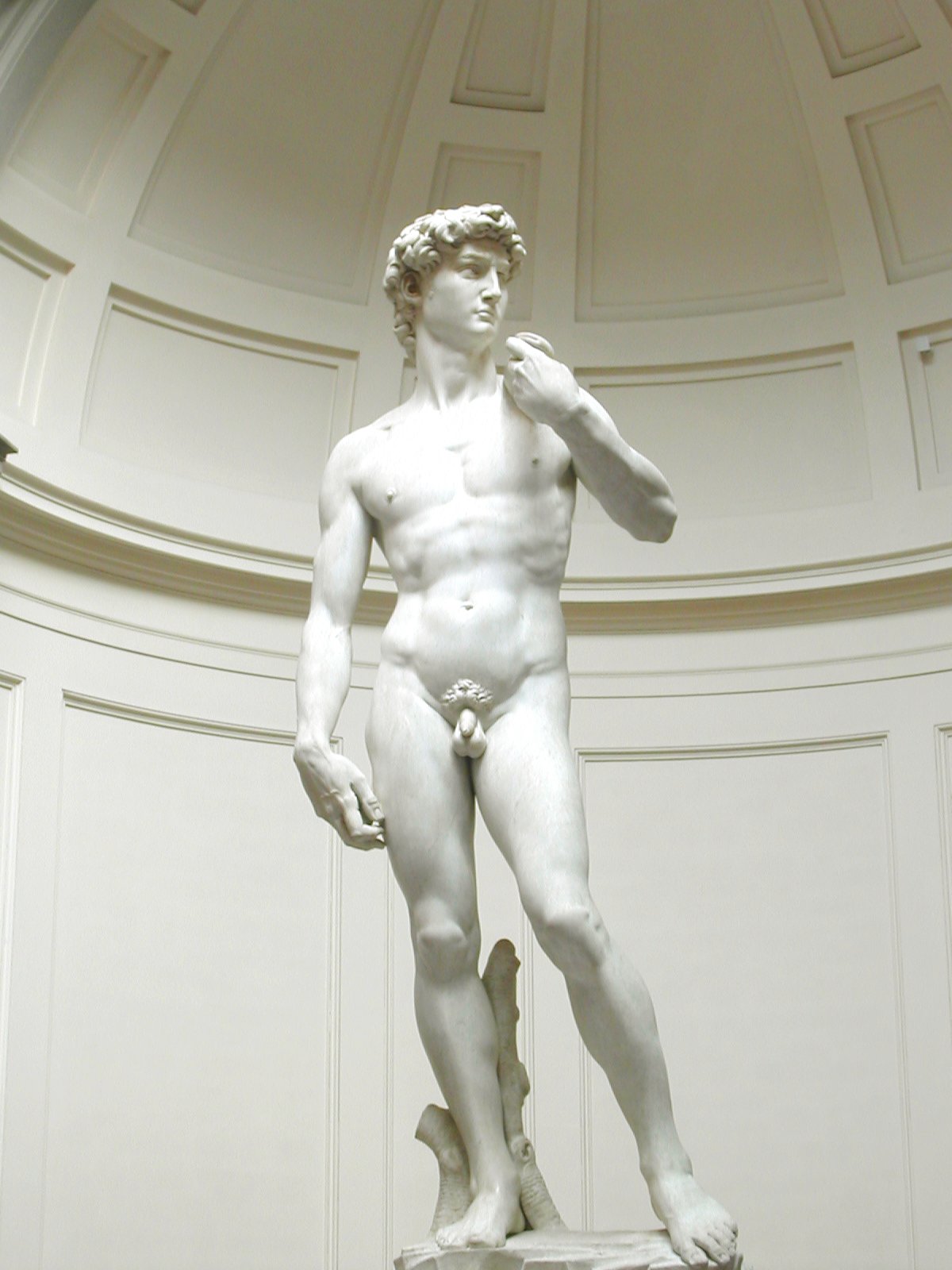 Michel-Ange, David, l'Académie des Beaux-Arts de Florence