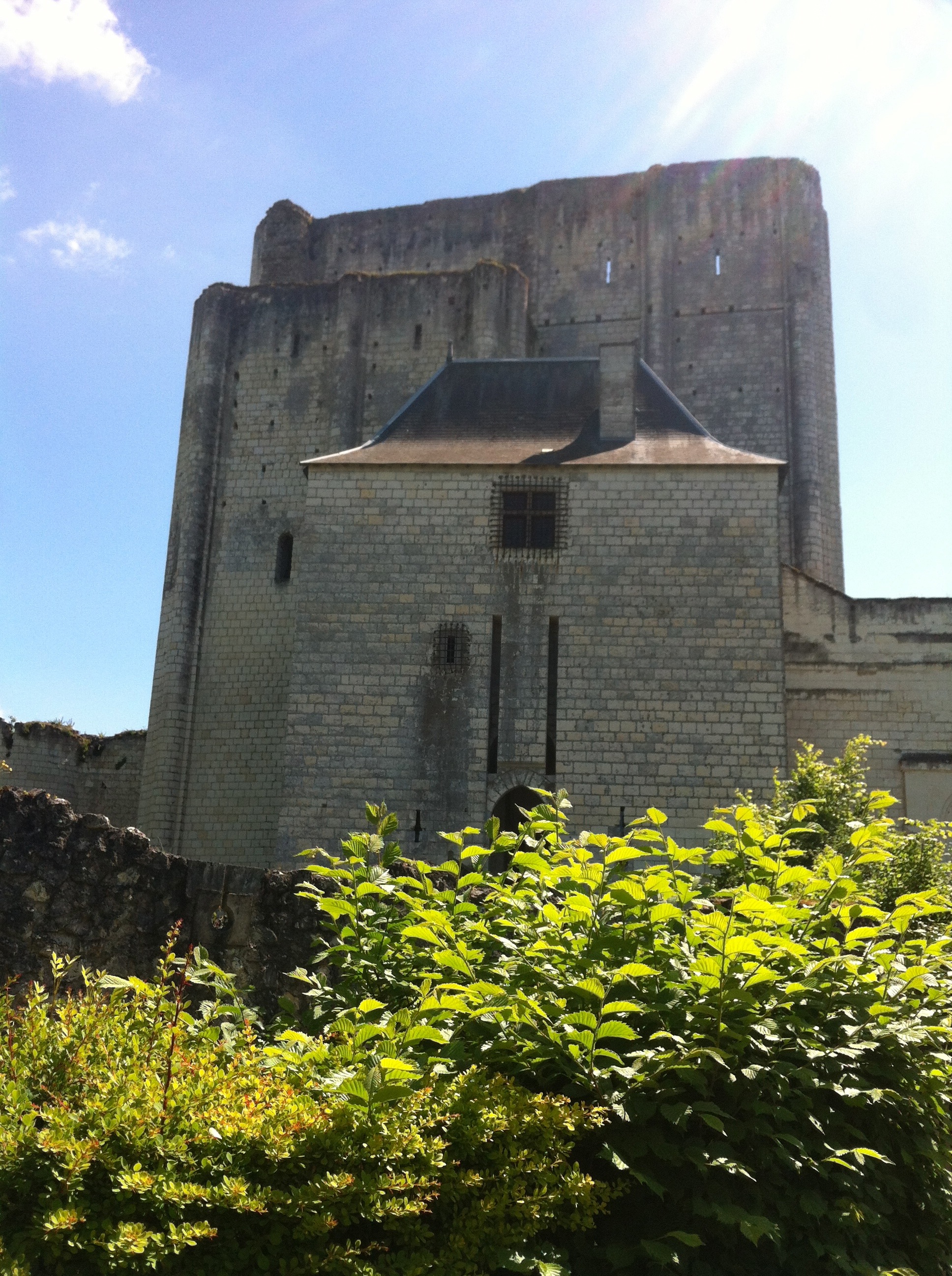 Chef d'œuvre de l'architecture militaire du XIème, la Cité royale de Loches se compose d'un donjon, d'un logis, et d'un jardin dit médiéval.